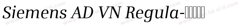 Siemens AD VN Regula字体转换